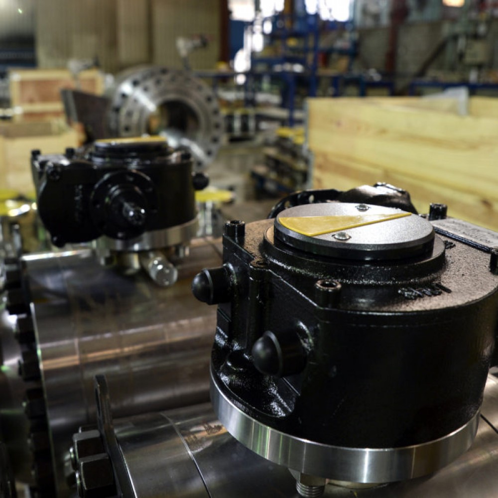 Globe Valves Globe Valves